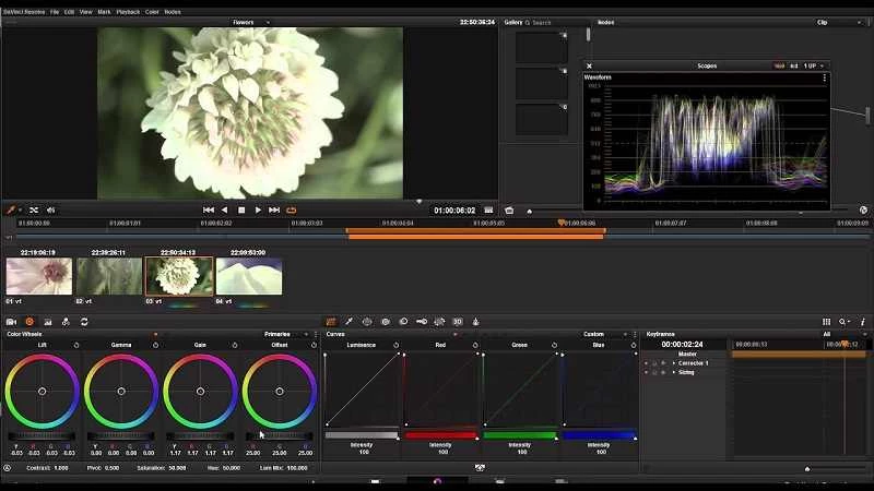 DaVinci Resolve — captura de tela 2